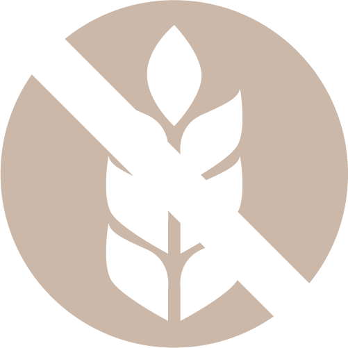 MENU-No-Gluten-ICON